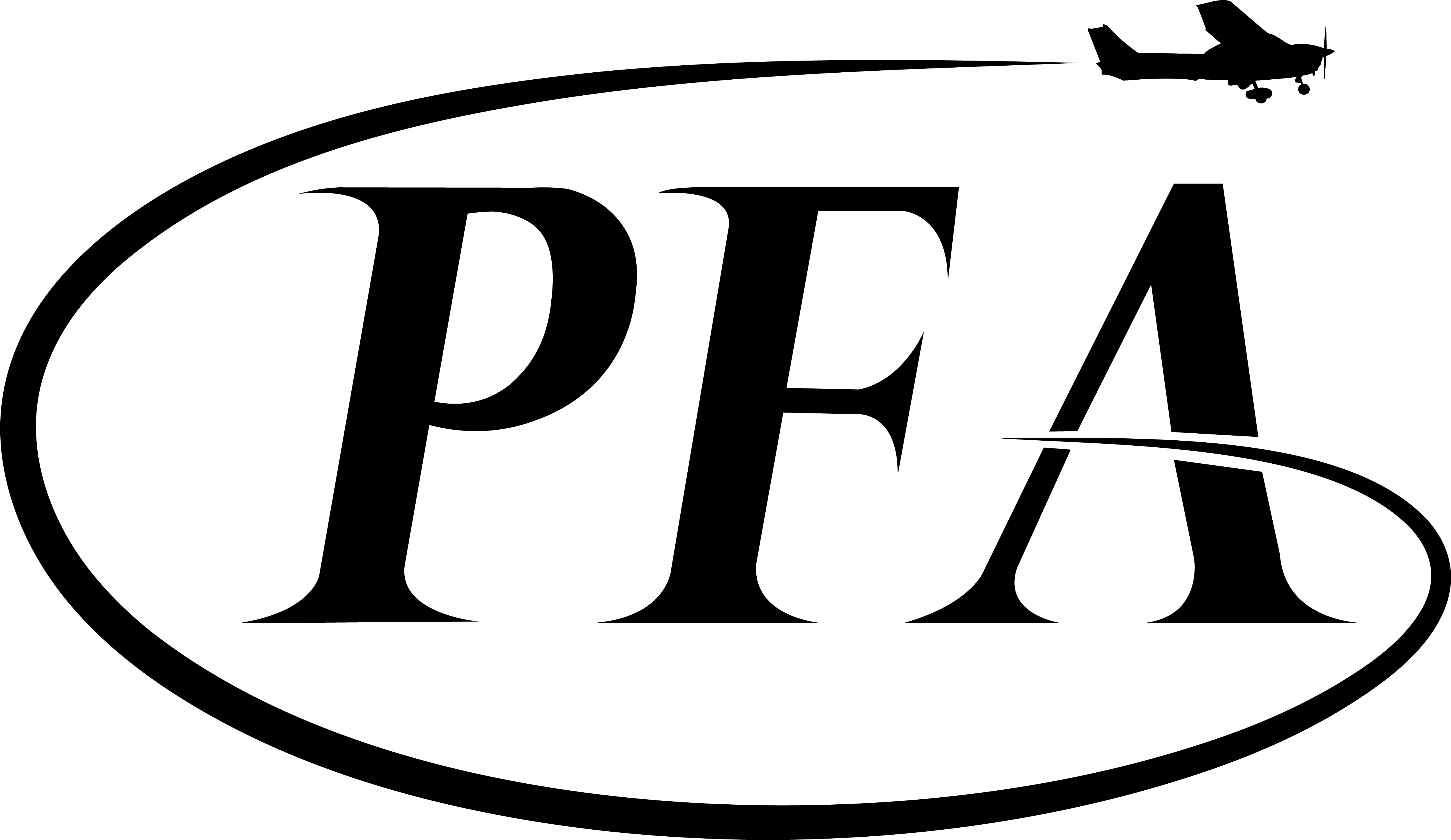 Pitcairn Flight Academy logo